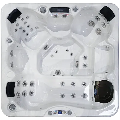 Avalon EC-849L hot tubs for sale in Tracy