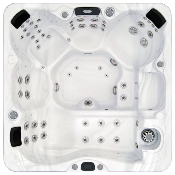 Avalon-X EC-867LX hot tubs for sale in Tracy